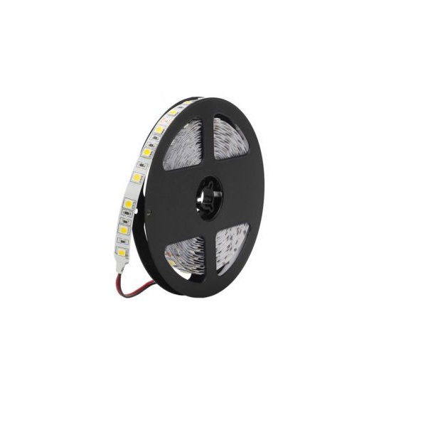 12V Cold White 5050 SMD LED Strip- 5Meter