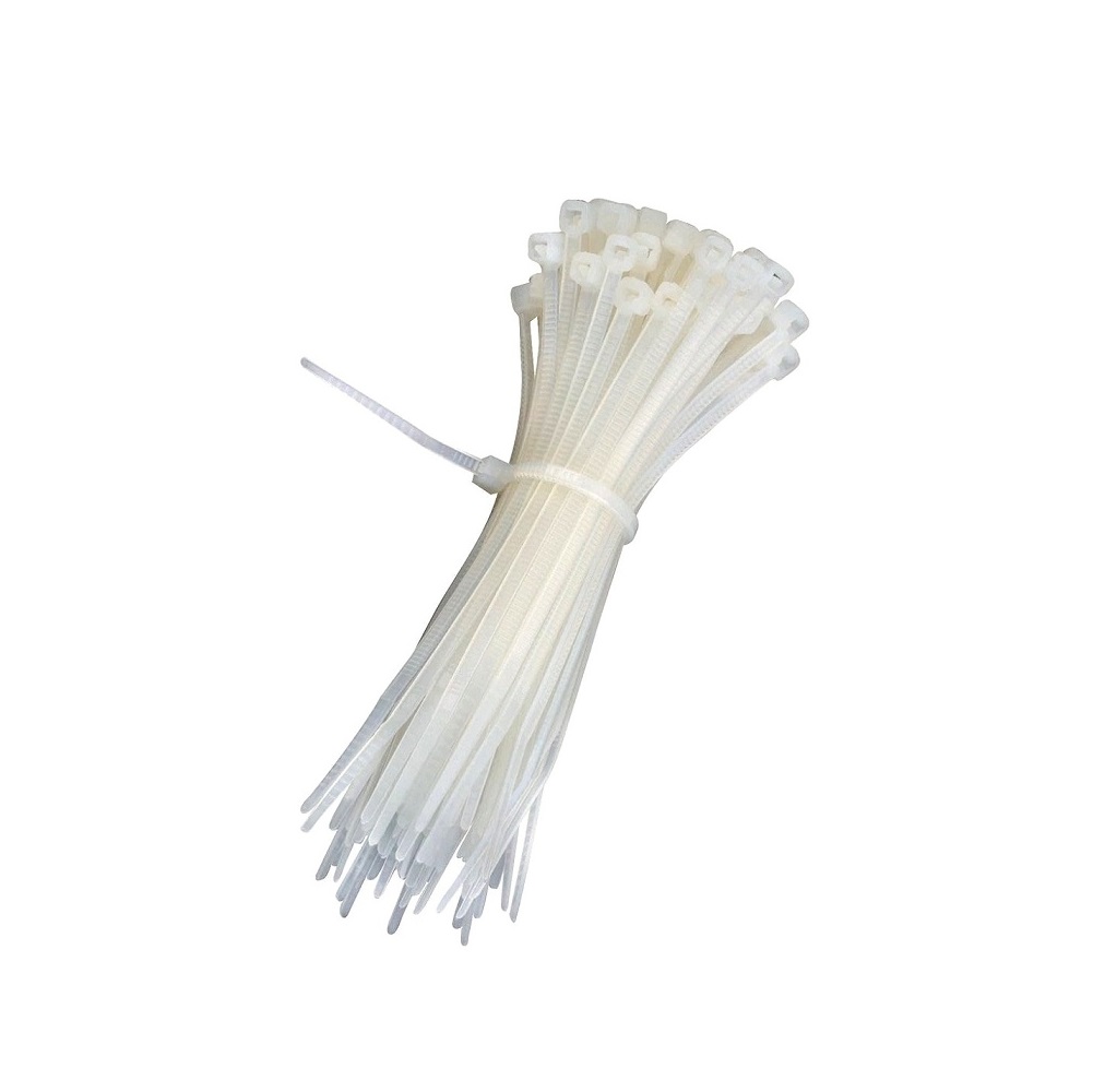 Nylon Cable Zip Ties 100mm (100pcs/Bag)-2Pcs