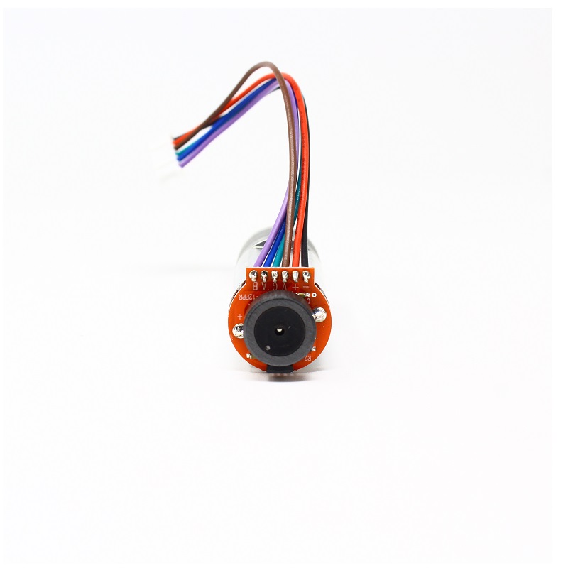 TT Motor – N20 12V 135RPM Metal gear Motor With Encoder D type